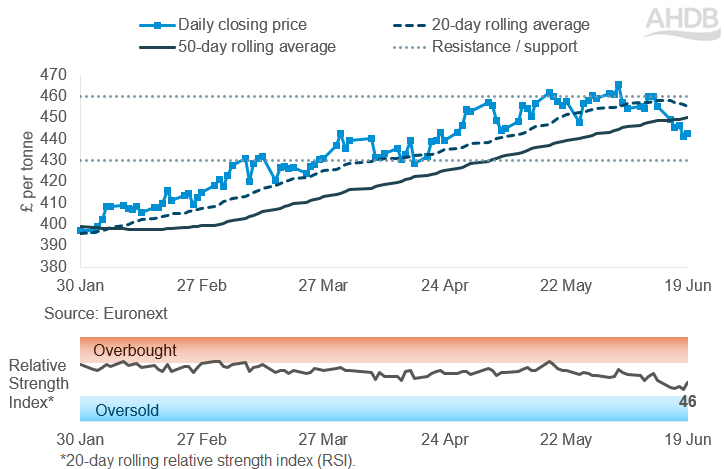 Line graph of Rapeseed futures Nov-26 contract prices over the past six months.